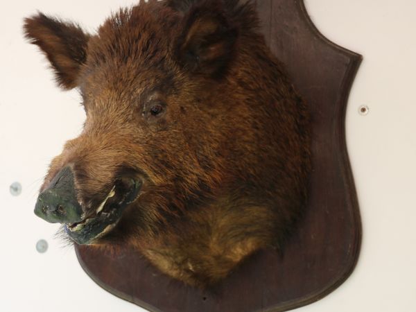 Impressionen vom KreisFamilienTag 2018 